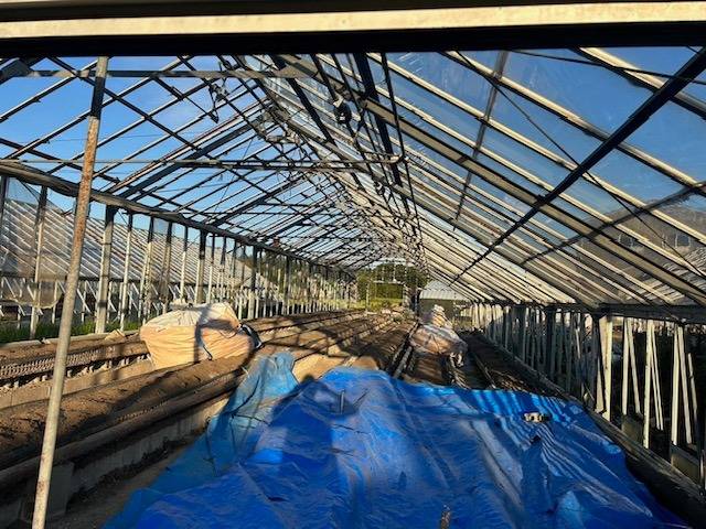 四日市市 温室(ガラスハウス)解体撤去工事